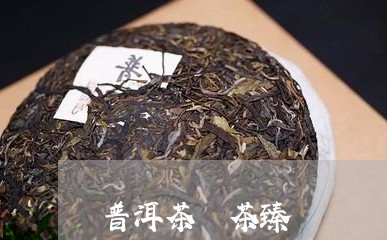 普洱茶 茶臻/2023042835129